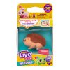 Little Live Pets NeeDees gyűjthető kiskedvencek - Süni