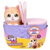 Little Live Pets Mama Surprise – interaktív kiscicák játékszett