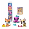 Littlest Pet Shop 3 darabos állatfigura hengerben – Feast Trios (254-255-256)