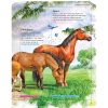 A lovak enciklopédiája
