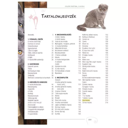 Legjobb barátunk, a macska