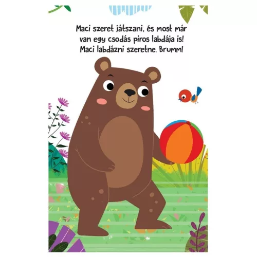 Hangos cimborák – Maci és barátai