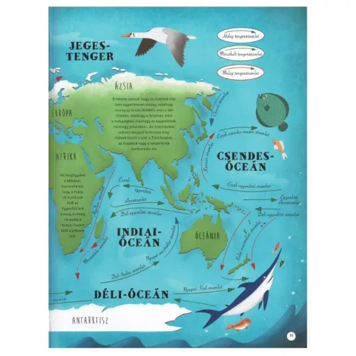 Kalandozás a világ tengerein és óceánjain