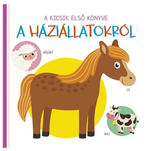 A kicsik első könyve - A háziállatokról