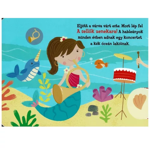 Hangos cimborák - A zenekar