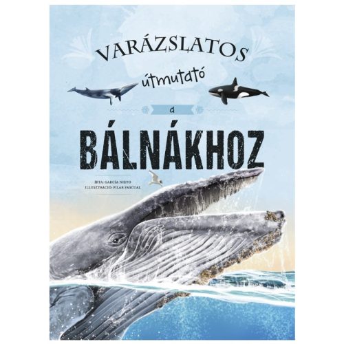 Varázslatos útmutató a bálnákhoz