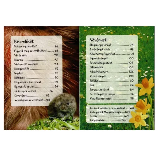 Séta a természetben