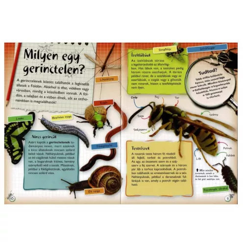 Séta a természetben