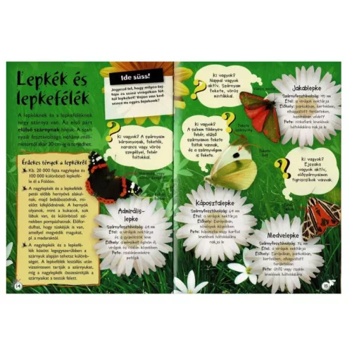 Séta a természetben