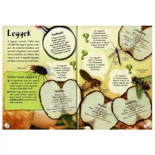 Séta a természetben