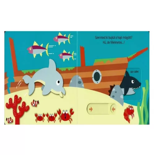 Hová bújtam? Tengeri állatok