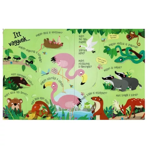 Nyisd ki és fedezd fel – Az állatok