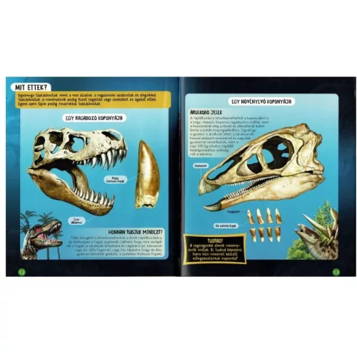 Nézd meg belülről – Dinók