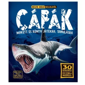 Nézd meg belülről – Cápák