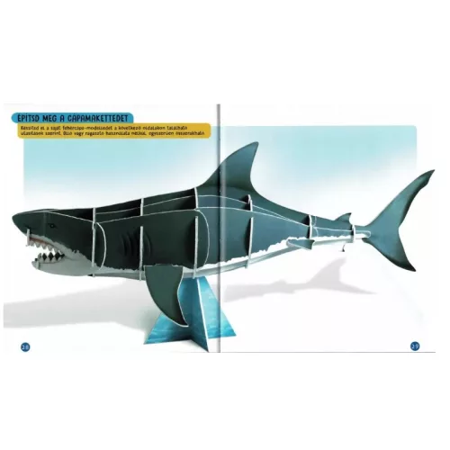 Nézd meg belülről – Cápák