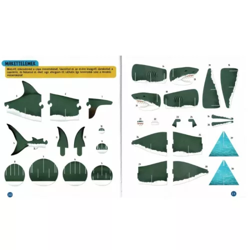 Nézd meg belülről – Cápák