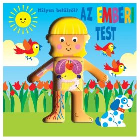 Milyen belülről? - Az emberi test