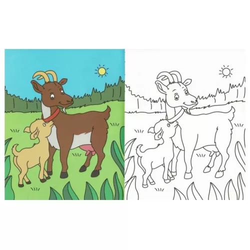 Kicsik színezője – Állatok