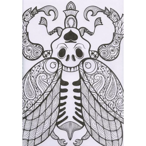 Kifestőfüzet felnőtteknek – Csodálatos minták