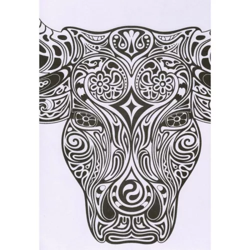 Kifestőfüzet felnőtteknek – Csodálatos minták