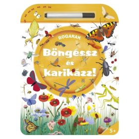 Böngéssz és karikázz! – Bogarak