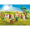 Playmobil Country 70887 Farm állatokkal