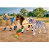 Playmobil I Love Horses 72133 – Három gyűjthető ló felszereléssel