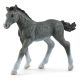 Schleich Horse Club 13944 Trakehner csikó