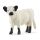 Schleich Farm World 13960 Galloway boci