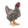 Schleich Farm World 13997 Plymouth Rock csirke figura