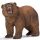 Schleich Wild Life Forest 14685 Grizzly medve