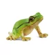 Schleich Wild Life 14882 európai levelibéka figura