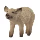 Schleich Farm World 14893 Mangalica kölyök figura