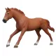 Schleich 14915 Angol telivér mén