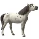 Schleich 14916 Knabstrupper herét