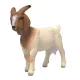 Schleich Farm World Búr kecske figura