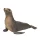 Schleich Wild Life 14933 Oroszlánfóka