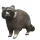 Schleich 14937 Wild Life mosómedve