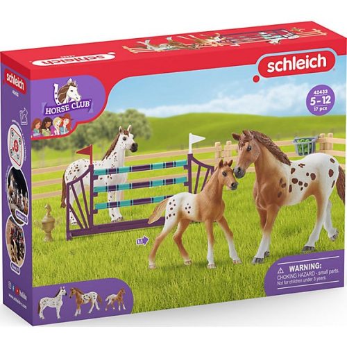 Schleich Horse Club 42433 Lisa lovas gyakorló szettje