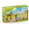 Schleich Farm World 42486 Orvoslátogatás kancánál és csikónál játékszett