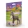 Schleich Horse Club 81460 Gyűjthető csikó Darcy