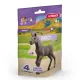 Schleich Horse Club 81460 Gyűjthető csikó Darcy