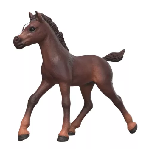 Schleich Horse Club 81479 – Gyűjthető Csikó Ravi