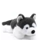 Puha plüss husky figura 25 cm